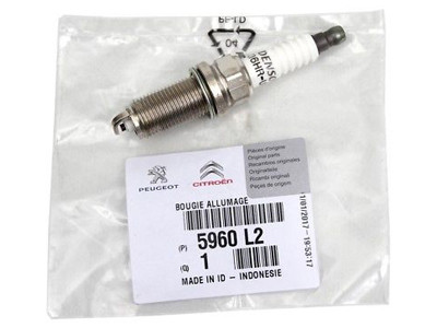 PLUG IGNITION PEUGEOT WITH 5960.L2 - milautoparts-fr.ukrlive.com