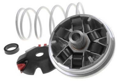 Wariator Malossi, Vivacity Jetforce X-Fight 50