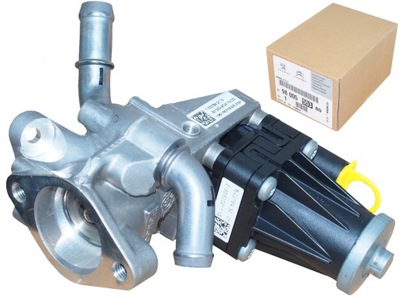 PEUGEOT AVEC 9800555380 SOUPAPE EGR - milautoparts-fr.ukrlive.com