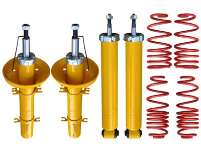 SUSPENSION SPORTS TYPE VW GOLF 4 IV / BORA 40/40MM - milautoparts-fr.ukrlive.com