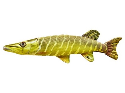 Szczupak mini (esox lucius) poduszka ryba 45 cm