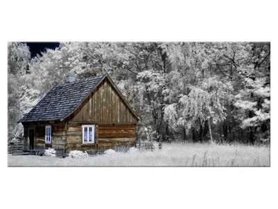 Obraz Krajobraz Dom z bali 115x55 wiejska chata