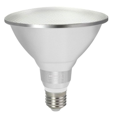 Żarówka LED E27 PAR38 15W=120W biały zimny