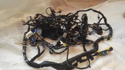 Ford ecosport 14 r 1.0 b электропроводка кабины середина фото №1