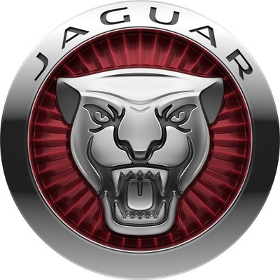 FEU AVANT GROUPE DE FILS JAGUAR - milautoparts.fr