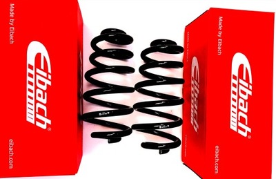 2 PCS. SPRING REAR EIBACH R10458 AUDI A4 B6 B7 UNIVERSAL 1.8T QUATTRO 8E0511115FN - milautoparts-fr.ukrlive.com