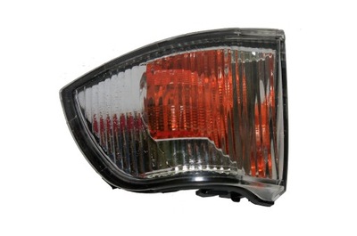 DIRECTION INDICATOR LEFT IN MIRROR IVECO DAILY IV 06-11 - milautoparts-fr.ukrlive.com