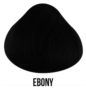 EBONY farba toner Directions La Rich'e TANIO KOLOR