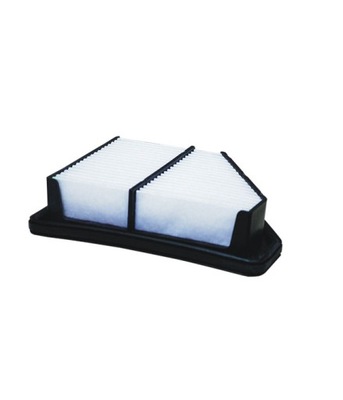 FILTER AIR AP103/2 HONDA CIVIC 1.4 09> - milautoparts-fr.ukrlive.com