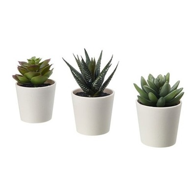 Fejka sztuczna roślina doniczkowa sukulenty 3 szt. IKEA