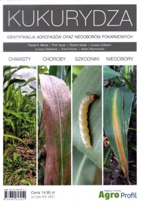 Kukurydza uprawa kukurydzy choroby szkodniki