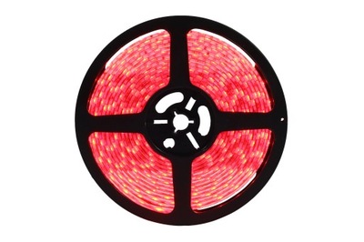 Taśma 300 LED 5050 5m IP65 72W Czerwona