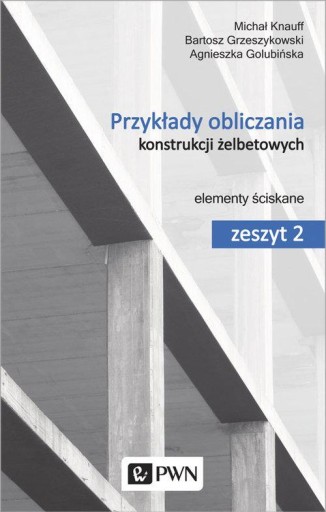 Примеры расчета железобетонных конструкций. Книга 2. Элементы сжатия