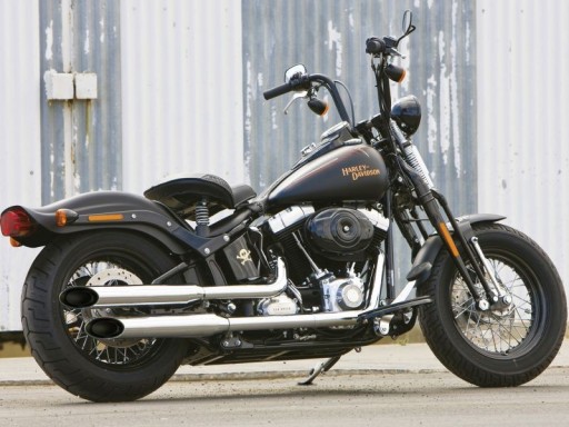 HARLEY-DAVIDSON Cross Bones через глушители