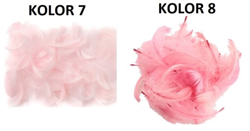 PIÓRA PIÓRKA MIX 25 SZT PIÓRO DEKORACYJNE 23xKOLOR
