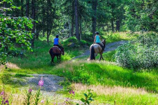 Полноразмерные бриджи GALLOP, размер 34R.