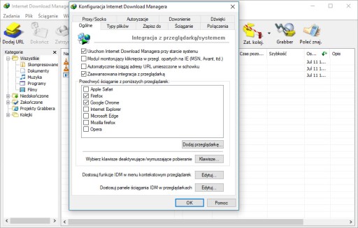 Internet Download Manager 6 - Licencja wieczysta