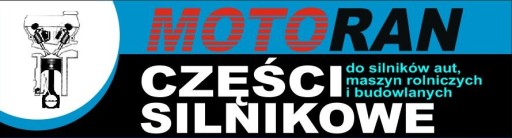 Поршневые кольца Opel Renault 2.3 DCI M9T