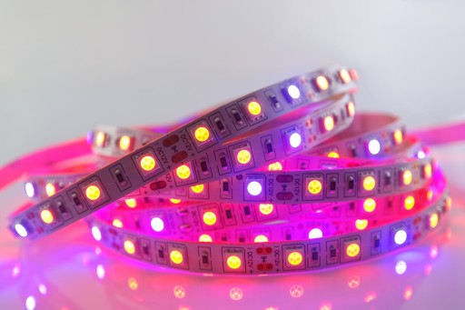 Taśma LED 5050 300D GROW wzrostu uprawy roślin 5m