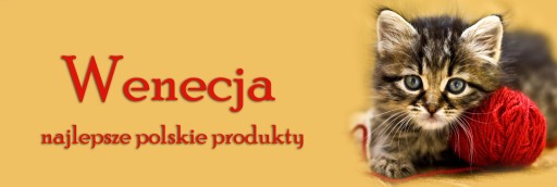 TORBA KLAPKA DUZA A4 KOT 5 MAŁY KOTEK DZIECIECA PL