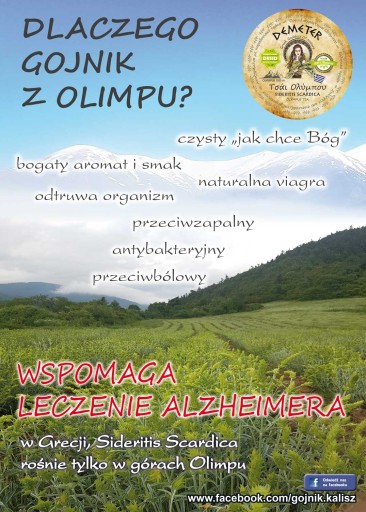 Гойник 35г Кружка + подарочная коробка