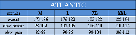 ATLANTIC SLIPY LOW RISE CLASSIC*M*MP1463 zielx1