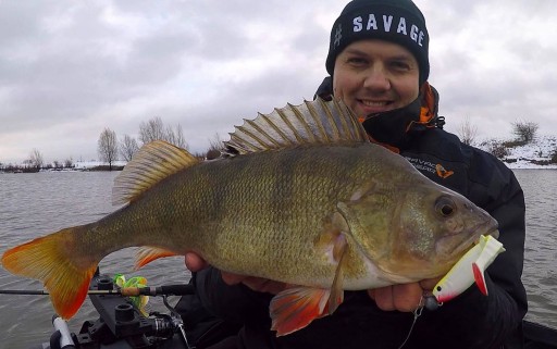 Savage Gear CANNIBAL * PERCH KILLER 8см Клоун