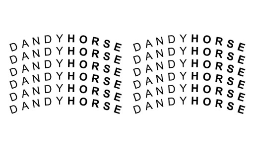 Набор наклеек DANDYHORSE на диски