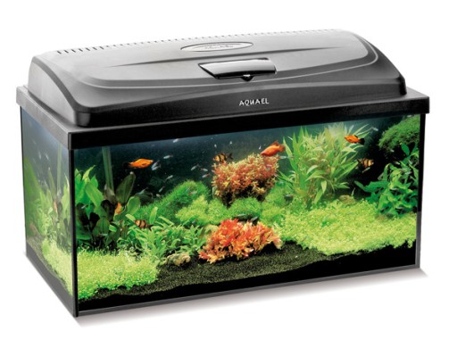 Аквариумный набор AQUARIUM 54L Cover Pat Mini