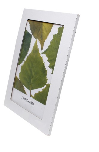 Antyrama szkło 18x24; 24x18 cm. z kartką