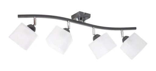 Lampa Sufitowa Plafon 4x60W LED Regulowana Klosze