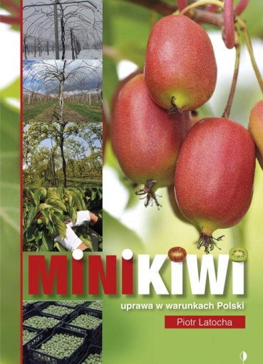 MiniKiwi uprawa w warunkach Polski aktinidii