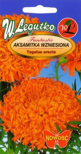 AKSAMITKA WZNIESIONA FANTASTIC