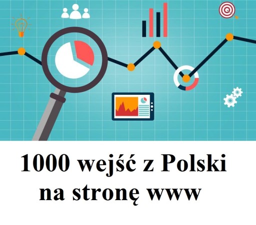 Ruch na stronę www - 1000 wejść z Polski!