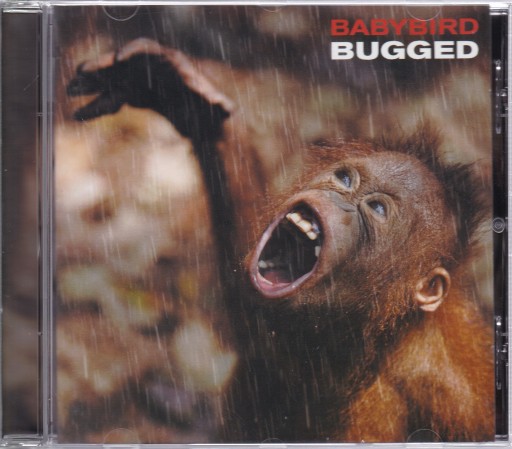 CD Bugged Babybird w FOLII
