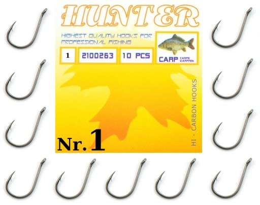 10 x HACZYK Z OCZKIEM HUNTER CARP Nr.1