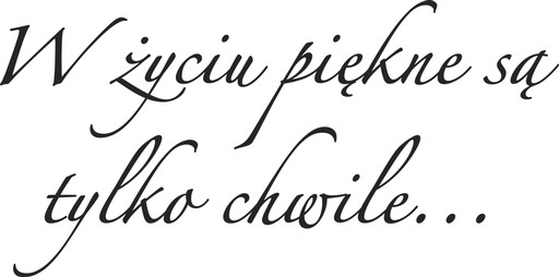 Napisy na ścianę naklejka dekoracyjna do salonu motywacja 50 cm