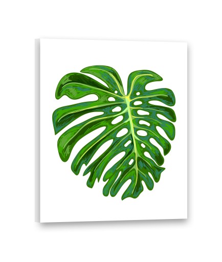 Obrazy na płótnie 40x50 Obraz LIŚCIE Monstera