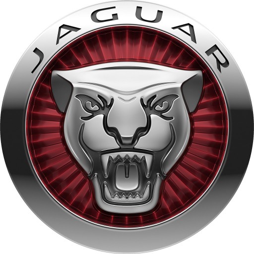 Фара перед провода jaguar1 - фото