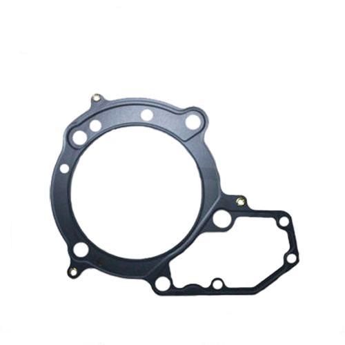 LSN1065 - ПРОКЛАДКА ГОЛОВКИ BMW R 1150 R 1200
