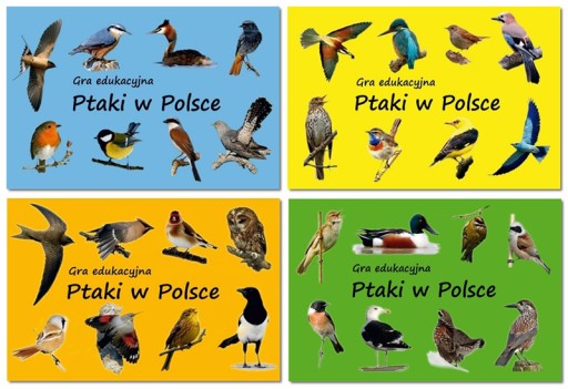 Ptaki W Polsce Karty Edukacyjne Z Ptakami 14 95 Zl 7423237550 Allegro Pl