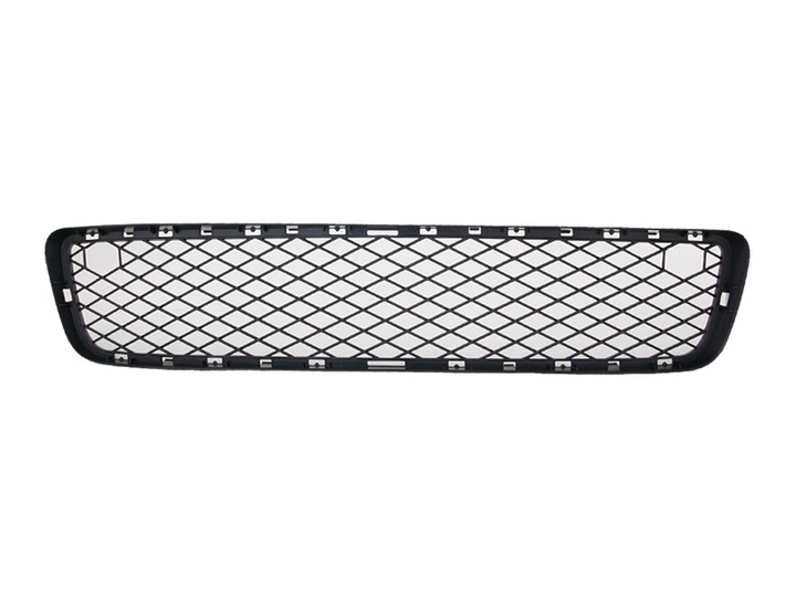 GRILLE SUR PARE-CHOCS X5, 10.06- 205127 photo 1 - milautoparts-fr.ukrlive.com