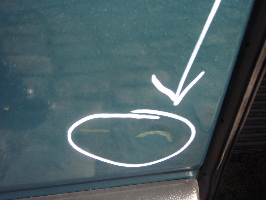 фото №5, Двері задня ліва master 98r. mv941