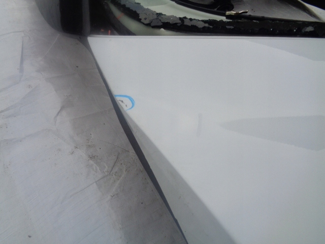 фото №3, Renault megane 4 iv hb крышка багажника задняя dv369 камера