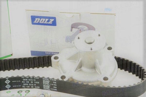 фото №10, Ina 530049110 набір розподільного валу